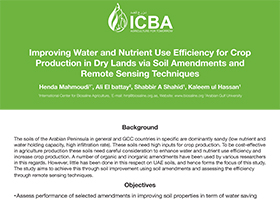 Improving Water and Nutrient Use Efficiency for Crop Production in Dry Lands via Soil Amendments and Remote Sensing Techniques