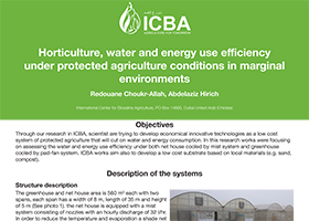 Horticulture, water and energy use efficiency under protected agriculture conditions in marginal environments