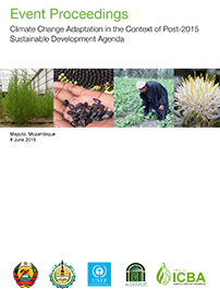 Climate Change Adaptation in the Context of Post-2015 Sustainable Development Agenda