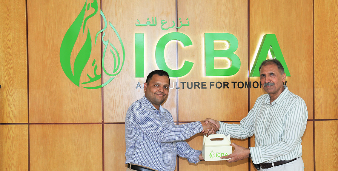 On 1 October 2018 the International Center for Biosaline Agriculture (ICBA) shared with Dubai Municipality more than 800 seeds of five threatened, indigenous wild plant species from its gene bank.