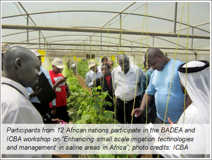 Opportunities to learn about small scale irrigation technologies and management in saline areas