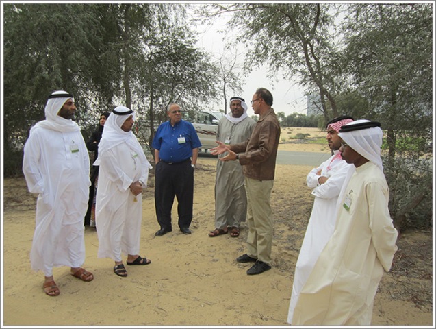 Production Systems of Field and Forage Crops in the UAE