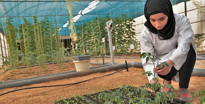 Every year ICBA offers several internships and fellowships to young women students and researchers from around the world to conduct studies at its world-class facilities. The center also focuses a great deal of efforts on offering research opportunities to women from the Middle East and North Africa region.
