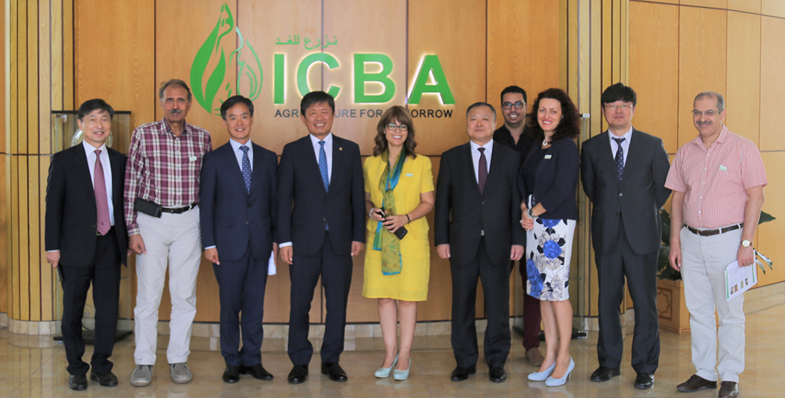 ICBA and RDA will collaborate on improving food security in the two countries by adopting innovative technologies such as advanced sensor technologies, net-houses and vertical farming, as well as finding genes responsible for salt tolerance in plants with a particular focus on drought and salinity resilience of rice. Both organizations will also explore areas of possible joint research in line with the UAE needs, specifically in salinity, agricultural production and food security.