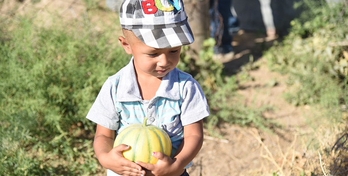 Placing his grandson on his shoulder, Adylbek leads us to the field. In the beginning of August, he planted pearl millet and sorghum to use for green mass in winter. His grandson, three-year-old Magjan named after a famous Kazakh poet, insists on him going to other fields too so that we take photos of him with watermelon. Adylbek follows the toddler’s request. “His parents have just departed for Kazakhstan, that’s why the child is distressed,” he justifies.