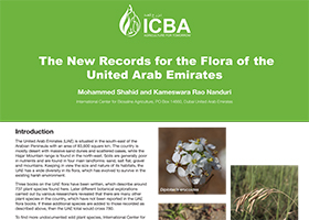 The New Records for the Flora of the United Arab Emirates
