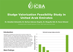 Sludge Valorization Feasibility Study in United Arab Emirates