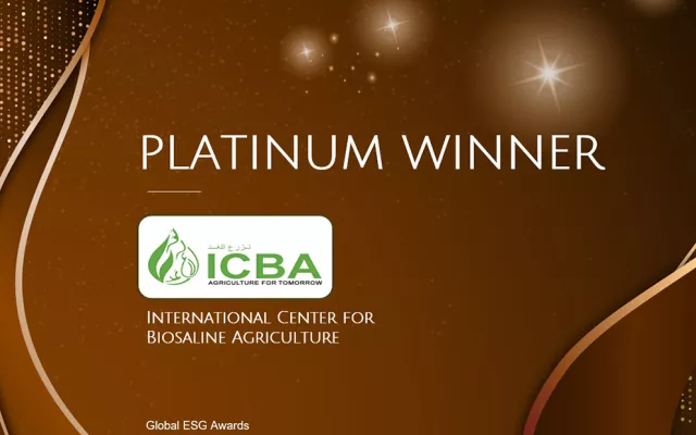 The Platinum Award in the category of “Reducing Hunger and Malnutrition” was given for the project aimed at supporting women farmers in Morocco’s Rehamna Province.