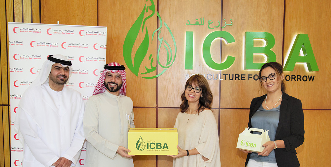 In keeping with the spirit of the Year of Zayed, the International Center for Biosaline Agriculture (ICBA) has donated more than 500 kg of dates to the Emirates Red Crescent.