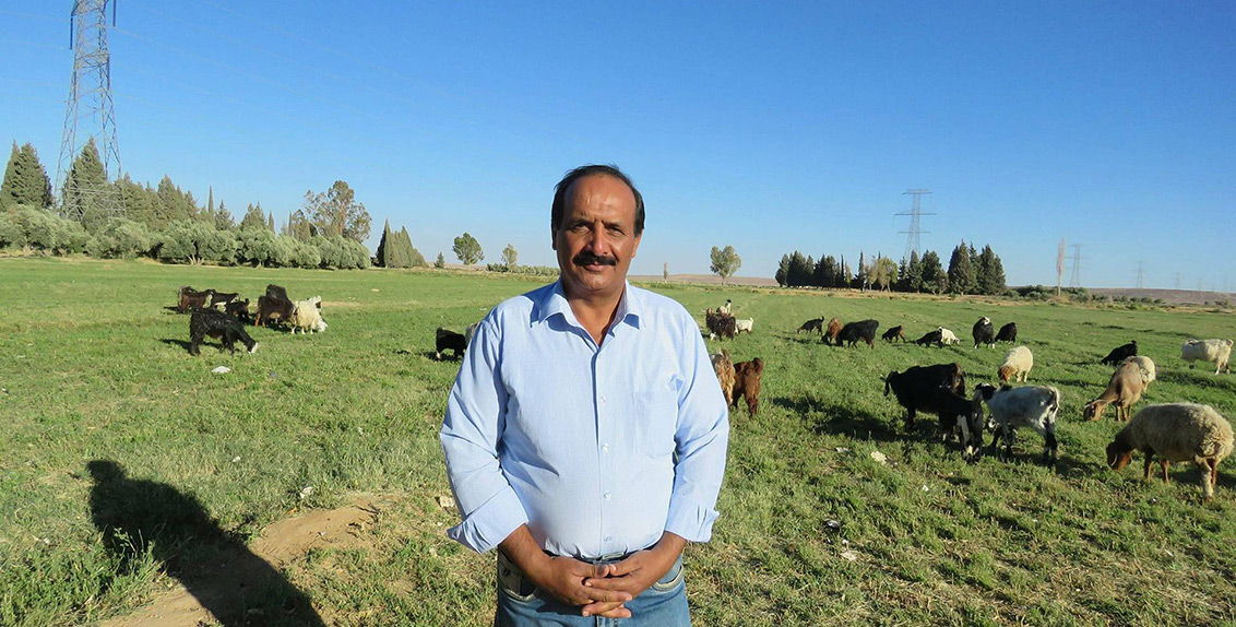 He returned to pursue a project started by his father more than 18 years ago. The Bedouin resettlement project aimed to encourage local people to work in agriculture.
