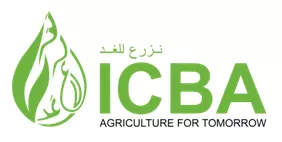 ICBA reveals a new brand reflecting the Center’s commitment to innovation, partnership and impact 